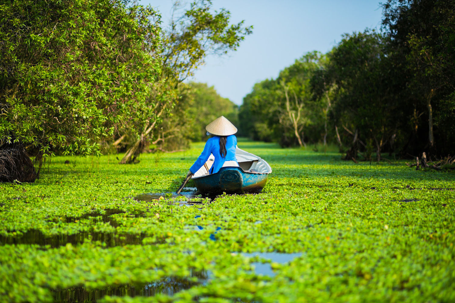 Top 4 Must-visit Forests in Mekong Delta Vietnam | Eviva Tour